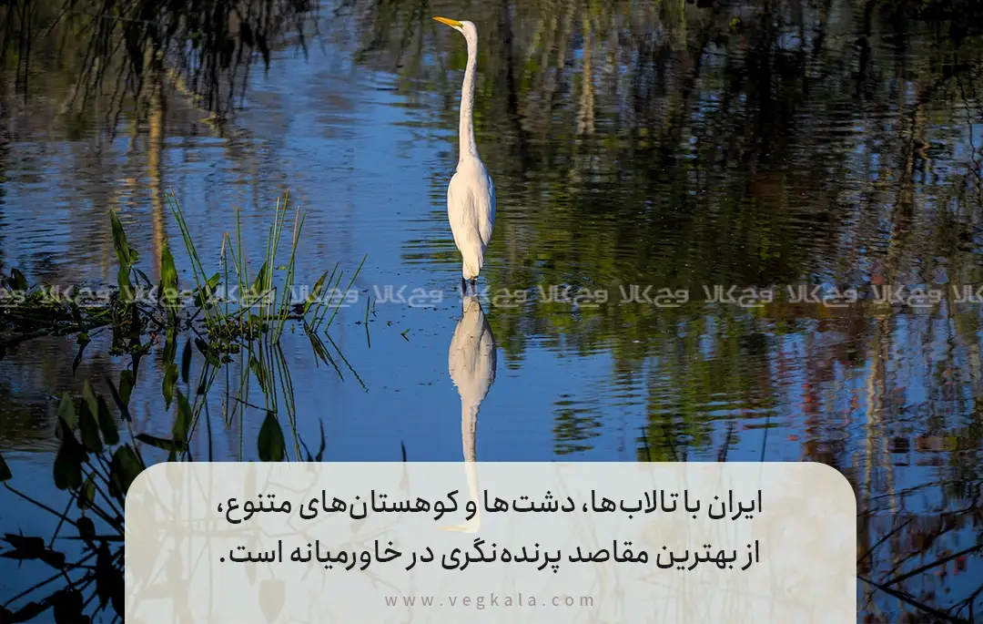 مناطق شاخص پرنده‌نگری در ایران