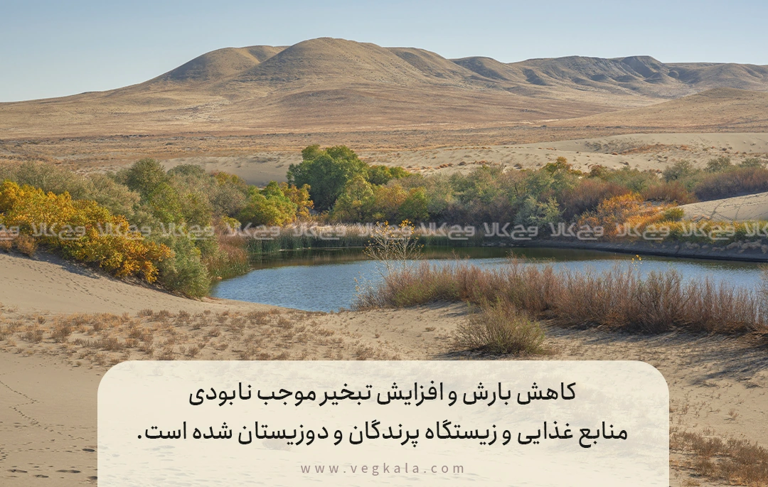 تأثیر تغییرات اقلیمی بر زیستگاههای حیوانات در ایران