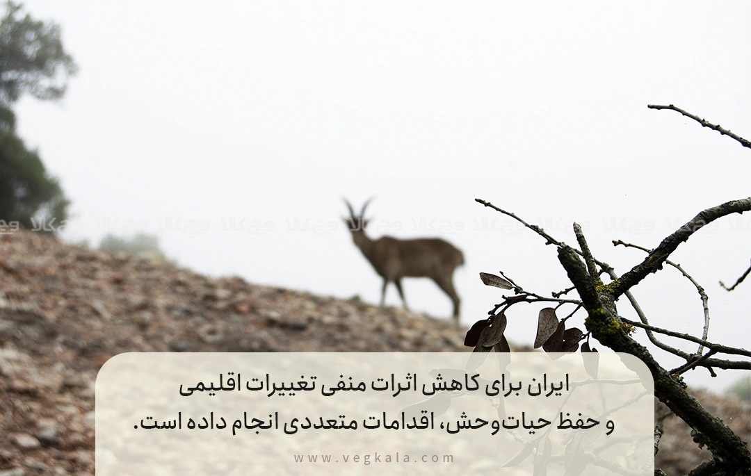 اقدامات ایران برای مقابله با اثرات تغییرات اقلیمی بر حیاتوحش