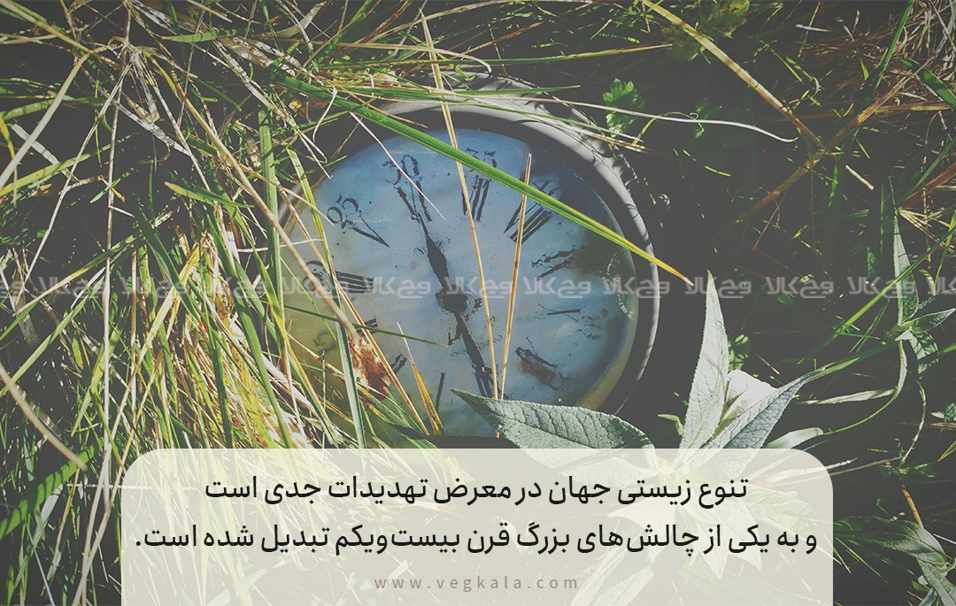 وضعیت فعلی تنوع زیستی در جهان