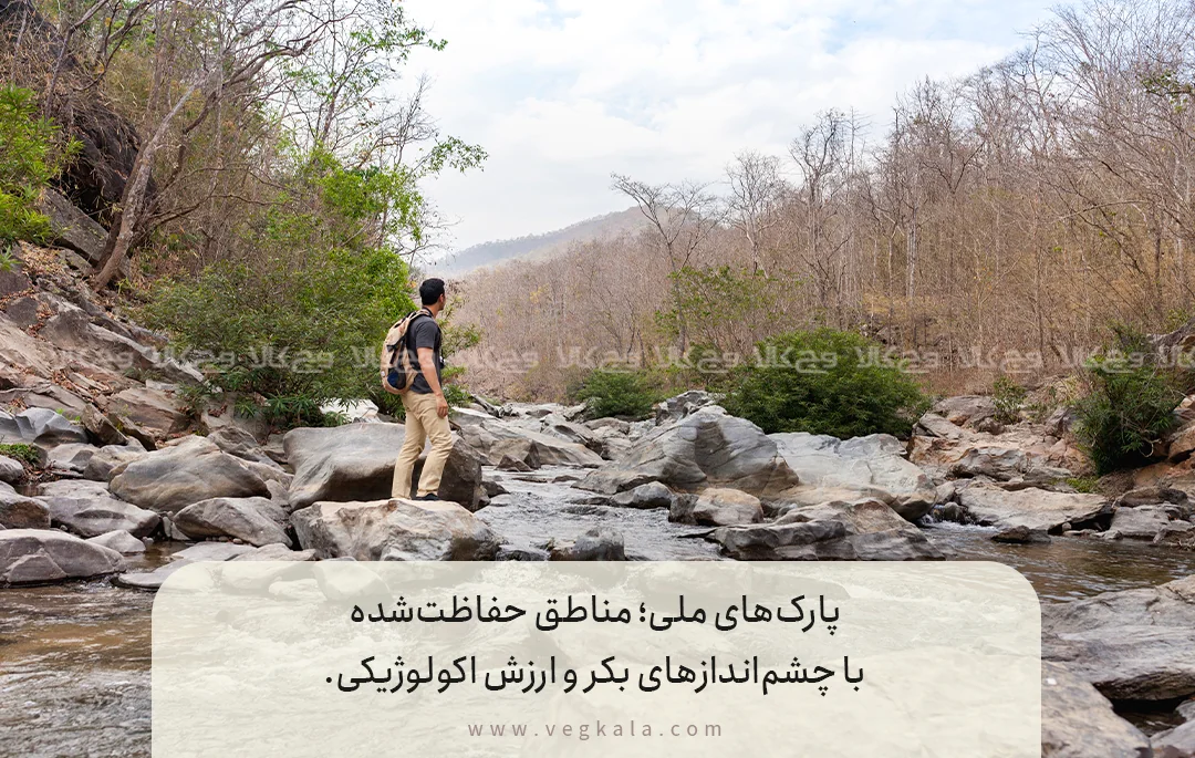 تعریف و دستهبندی مناطق حفاظتشده مهم ایران