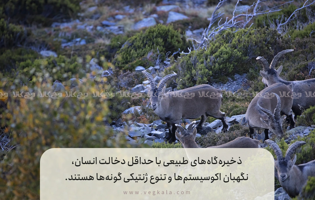 نمونههای شاخص مناطق حفاظتشده مهم ایران