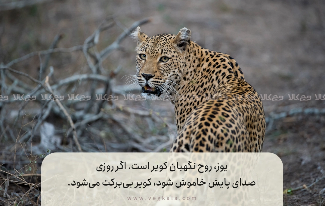 سفر به دل افسانهها در مناطق حفاظتشده مهم ایران