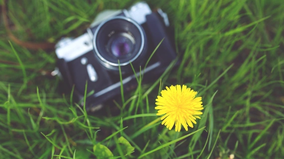 طبیعتگردی درمانی برای بدن و روح