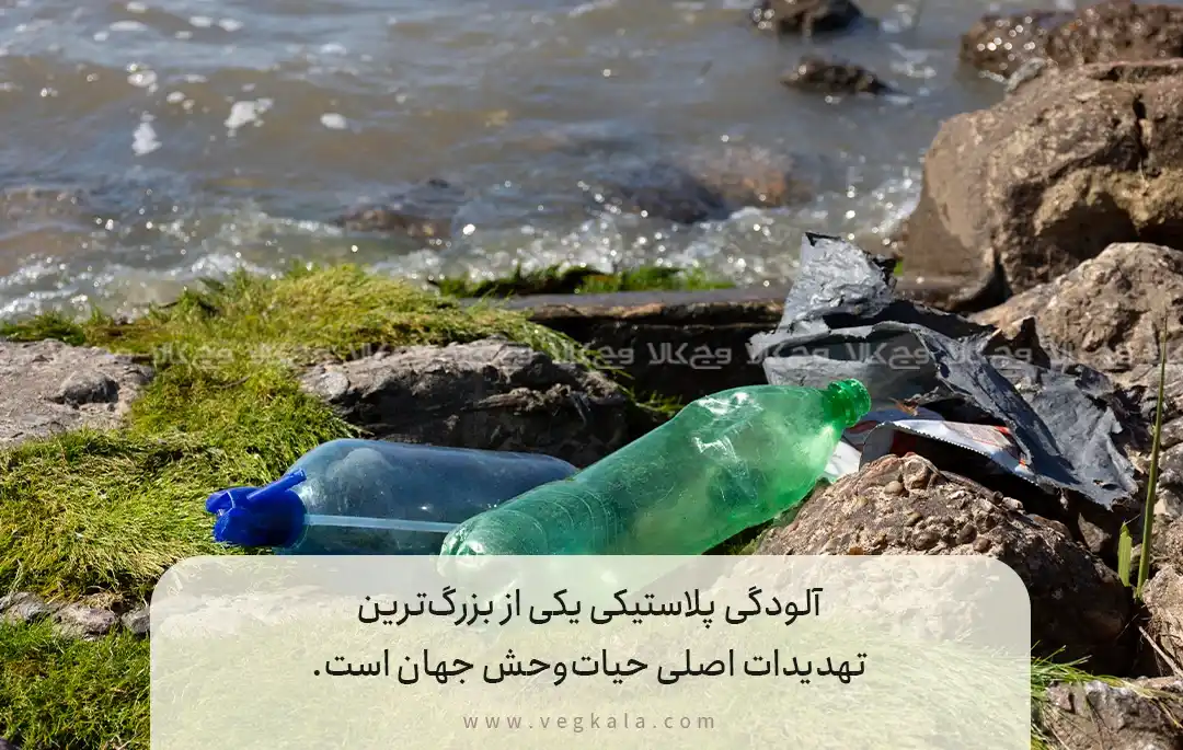 آلودگی محیطی