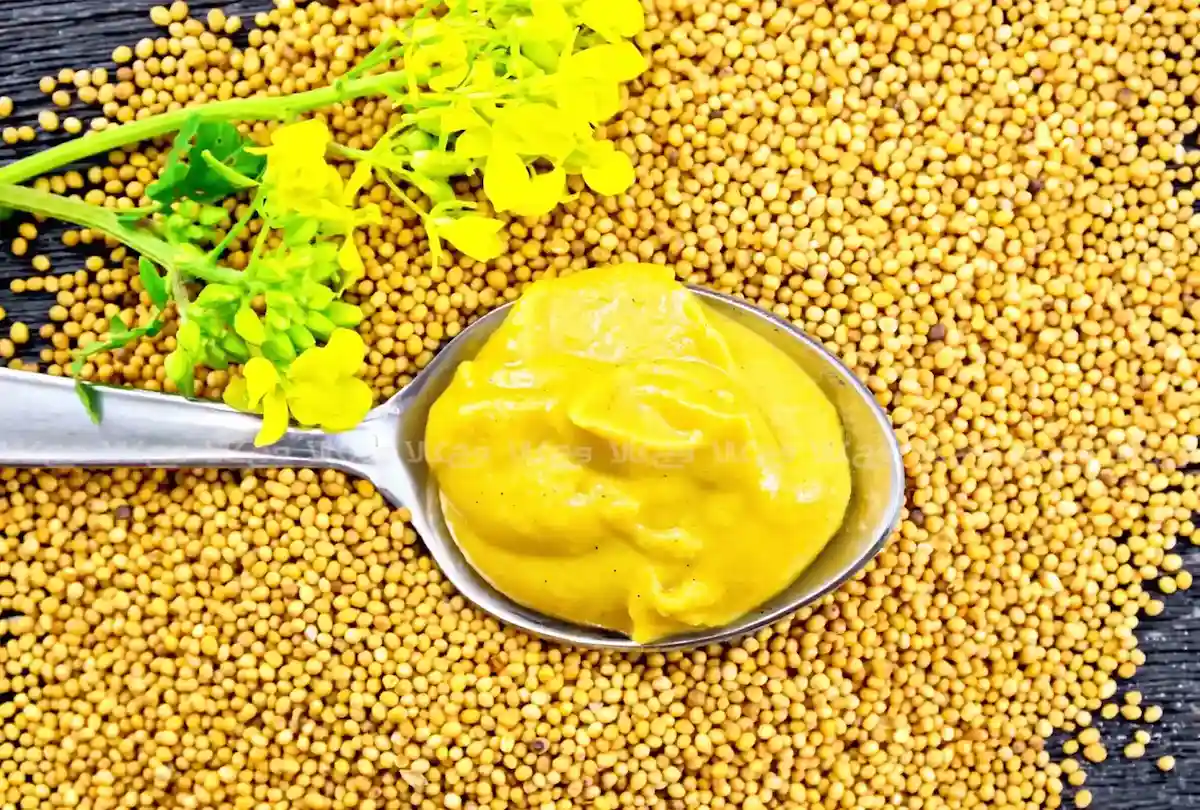 خواص خردل از بهبود گردش خون تا تقویت سیستم ایمنی بدن