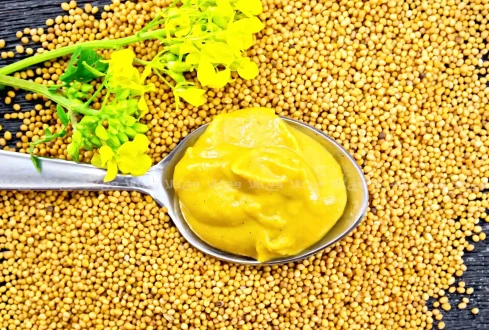 خواص خردل از بهبود گردش خون تا تقویت سیستم ایمنی بدن