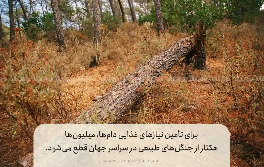 تأثیر دامپروری بر زیستگاه‌های طبیعی