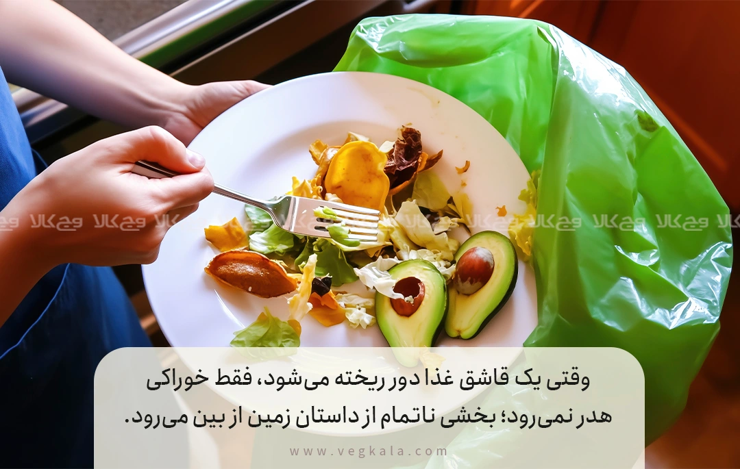 چرا بازآفرینی غذا یک کنش پایداری است؟