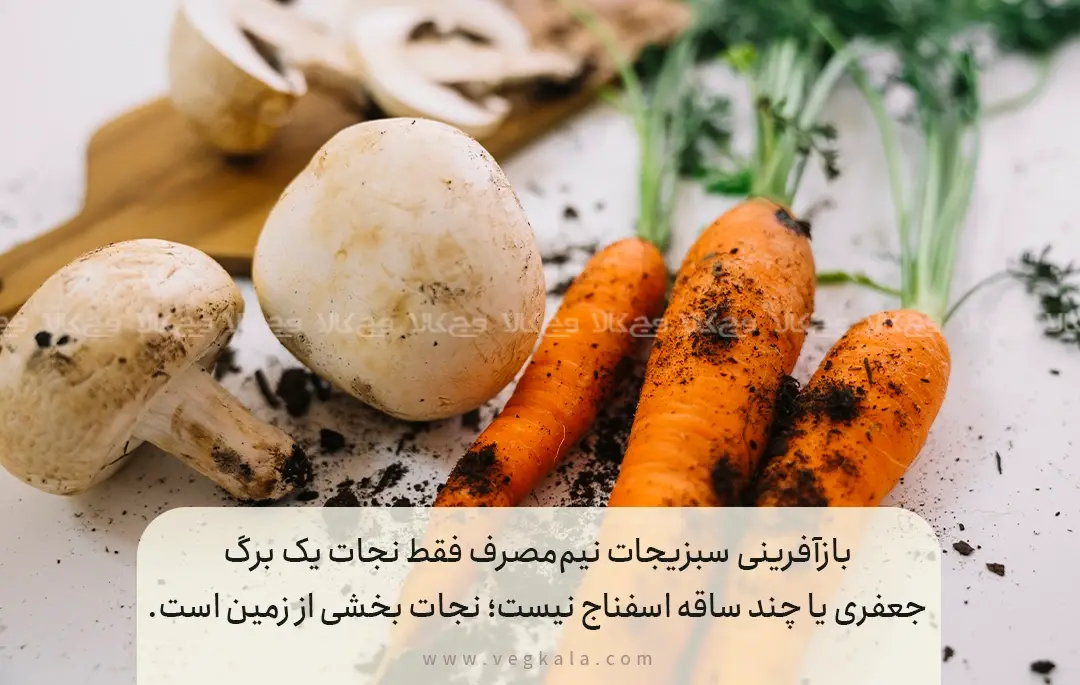 سبزیجات نیم‌مصرف؛ از پژمردگی تا بازآفرینی