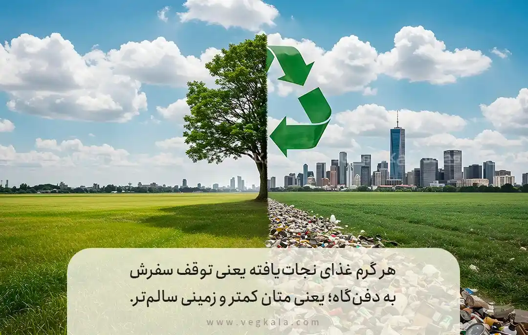 پیامدهای اقتصادی و محیط‌زیستی بازآفرینی غذا