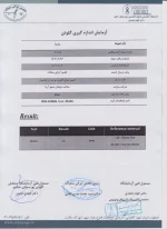 پاستا بدون گلوتن سلامت پژوهان - 400 گرمی