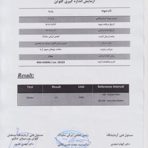 پاستا بدون گلوتن سلامت پژوهان - 400 گرمی