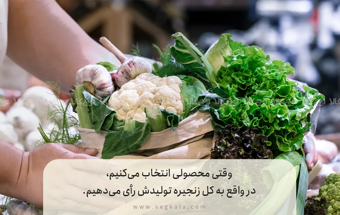 1. انتخاب آگاهانه محصول: اولین پیشران پایداری