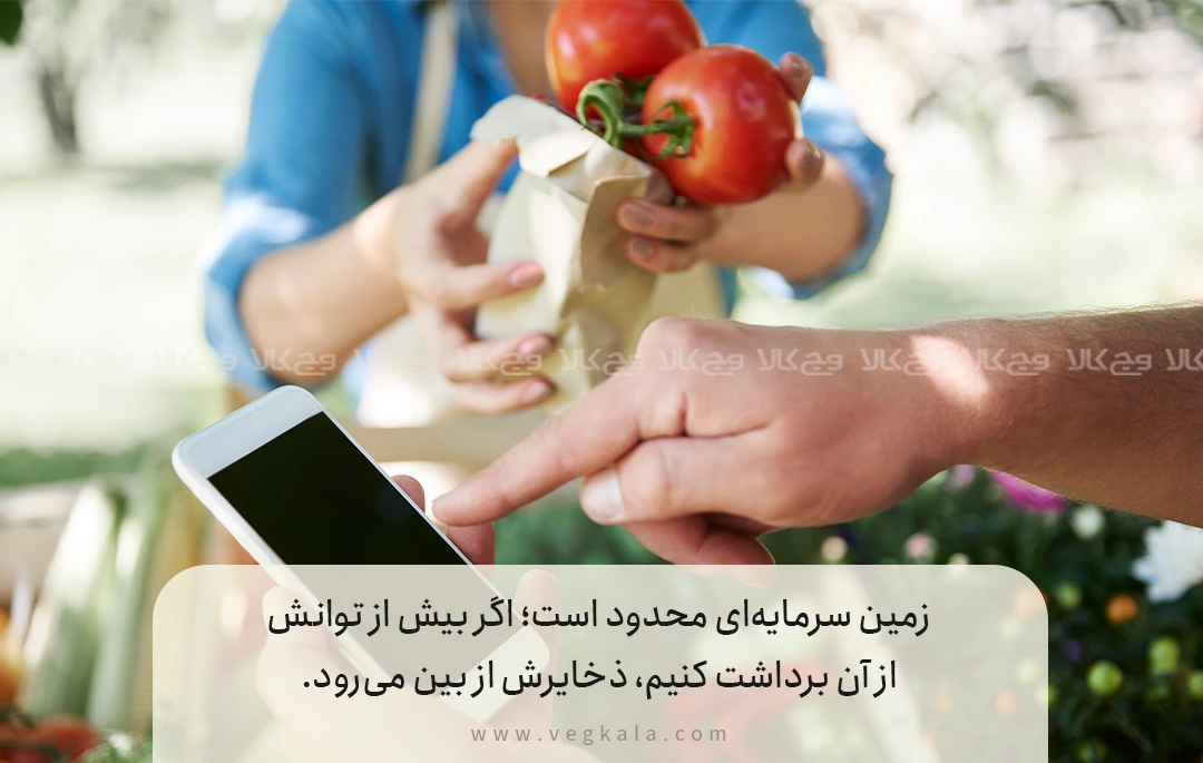 پسماند غذایی؛ زخمی که زمین هر روز تحمل می‌کند