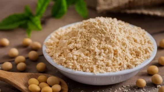 تفاوت پروتئین سویا با سایر پروتئینهای گیاهی