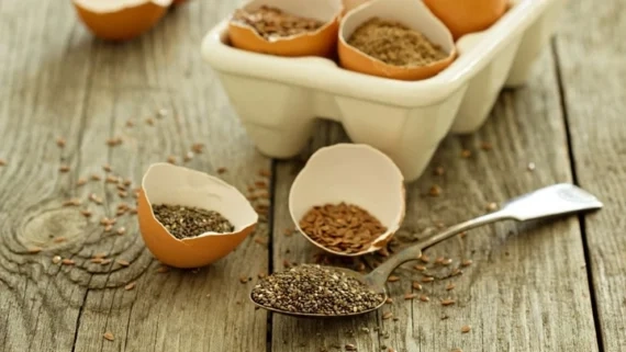 تخم مرغ وگان با مواد گیاهی