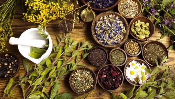 نکات مهم برای خرید آنلاین چای و دمنوشهای گیاهی