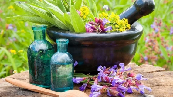 عرق گیاهی چیست و چگونه تولید میشود؟