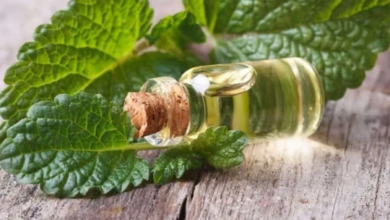 نکات مهم خرید آنلاین عرقیات گیاهی