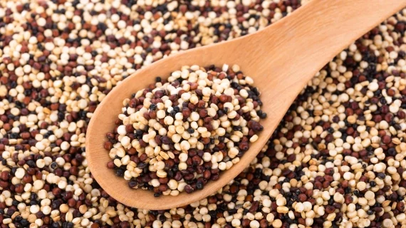 کینوا یا خاویار گیاهی سرشار از خواص شگفتانگیز