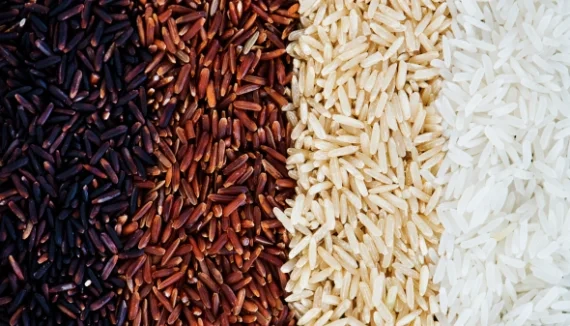 نکات مهم خرید برنج را بدانید