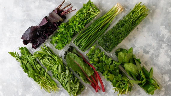 انواع سبزیجات منجمد،نیمه آماده و خشک و طرز تهیه سوپ سبزیجات