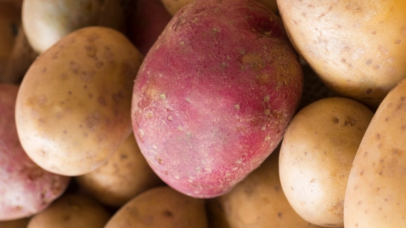 نکاتی که برای خوردن غذاهای نشاسته ای بهتر است بدانید