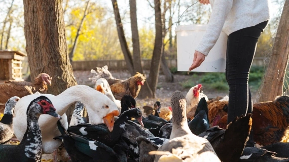 زندگی در کنار طبیعت و حفاظت از حیات وحش