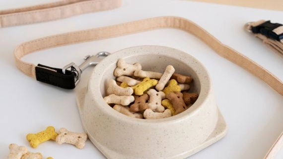 کدام تشویقیهای محبوب در بازار وجود دارند و چرا به آنها اعتماد میشود؟