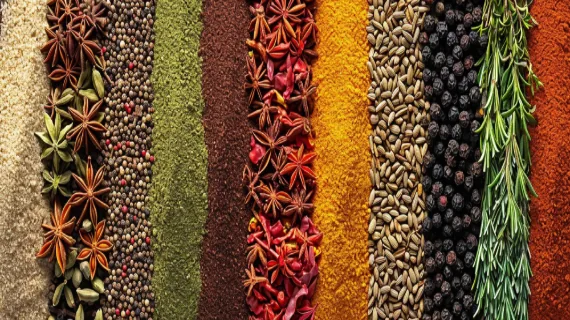 لیست انواع ادویه جات گیاهی وگان