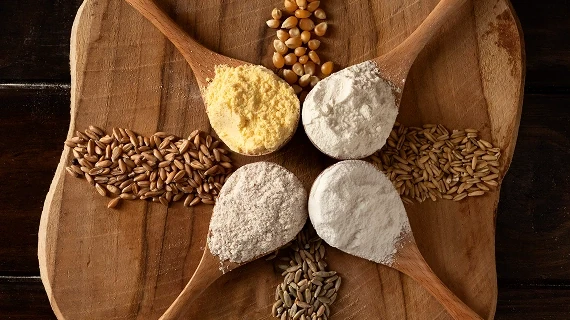 راهنمای جامع خرید انواع آرد و پودر؛ ترکیب سلامت و تنوع طعم در آشپزی روزانه