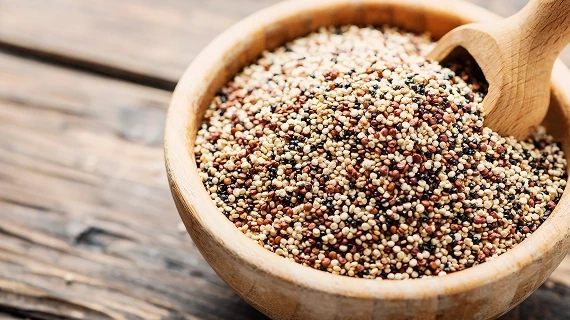 چرا خرید اینترنتی کینوا از وجکالا بهترین انتخاب است؟