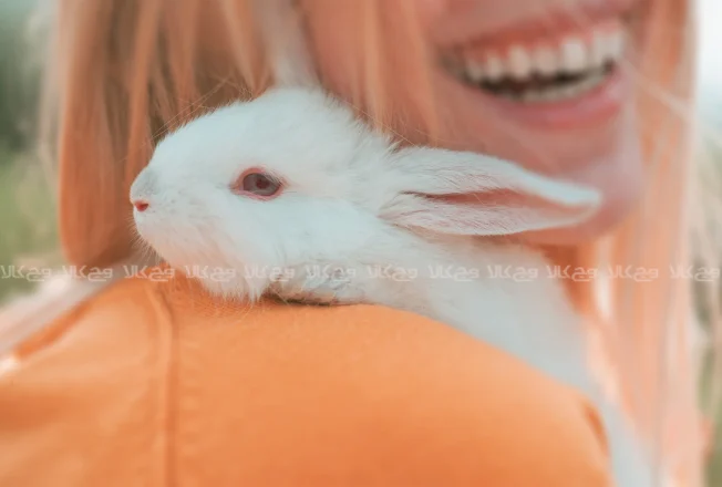 چرا باید محصولات آرایشی بدون تست حیوانی بخریم؟