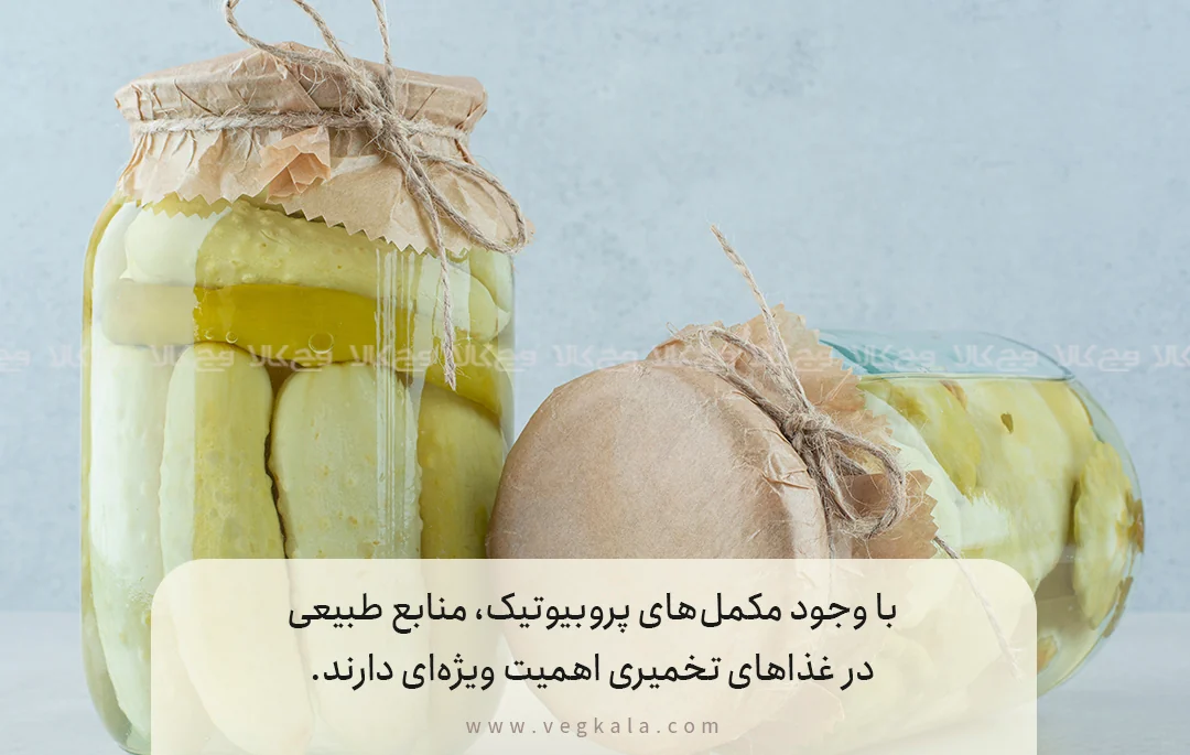 چرا پروبیوتیک‌های طبیعی اهمیت بیشتری دارند؟